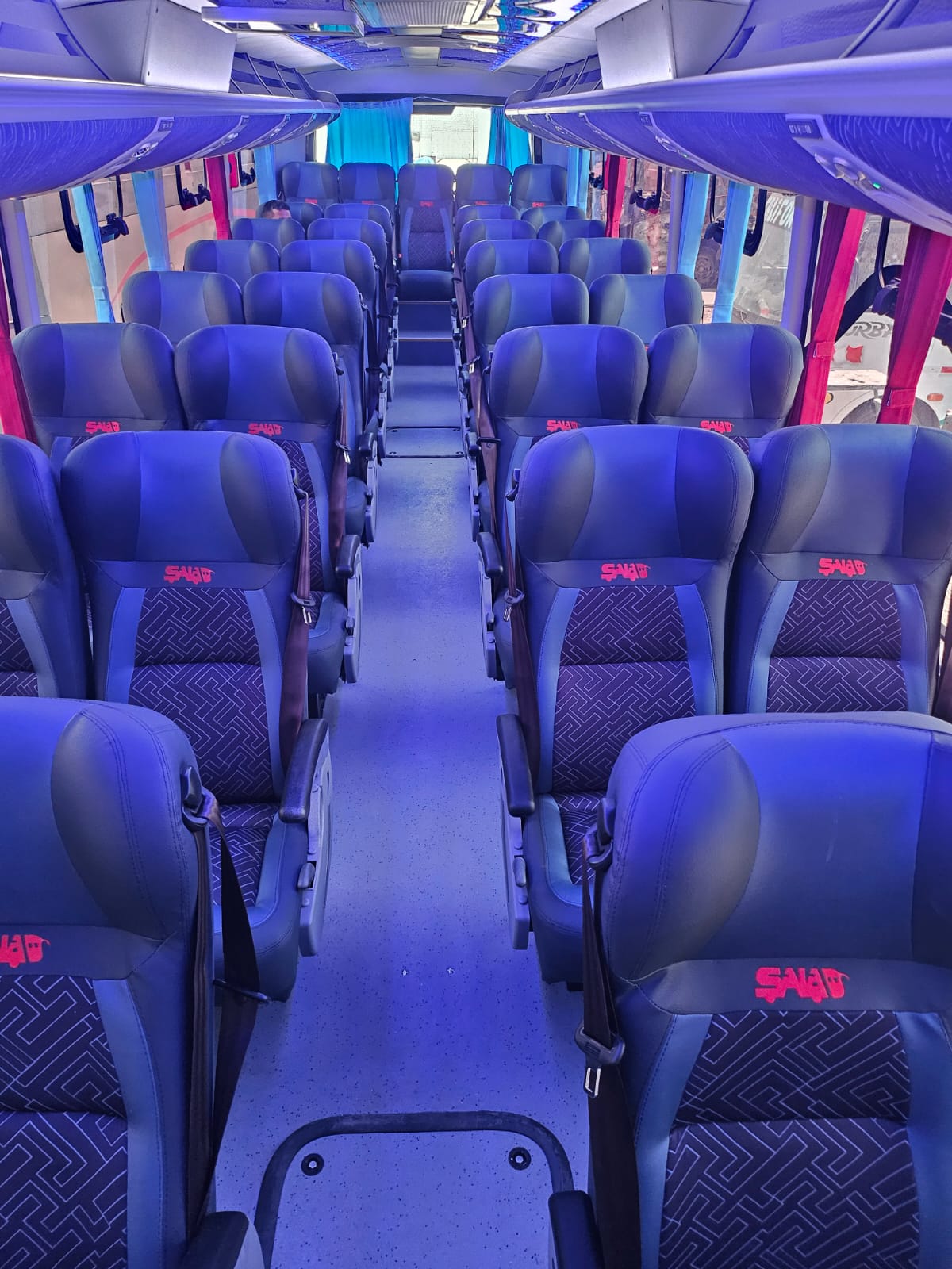 Bus para transporte urbano.-1760046467